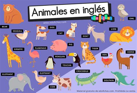 Animales En Ingles