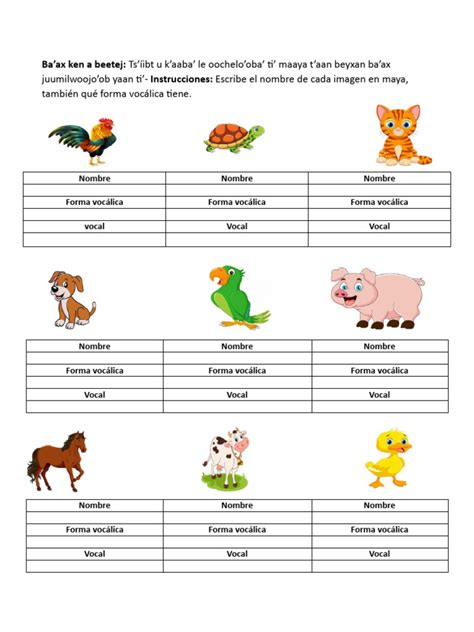 Animales En Maya
