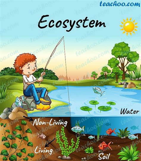 Animals And Ecosystems Easy Science For Kids Animal Science For Kids - Animal Science For Kids