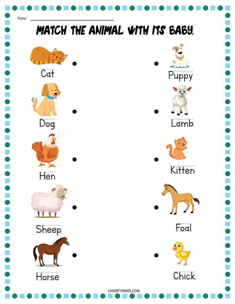 Animals And Their Babies Worksheet For Kindergarten Free Worksheet On Animals And Their Babies - Worksheet On Animals And Their Babies