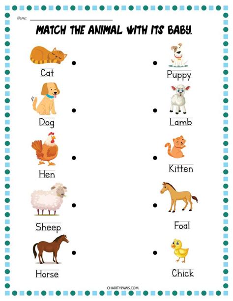 Animals And Their Babies Worksheets Free 10 Page Worksheet On Animals And Their Babies - Worksheet On Animals And Their Babies