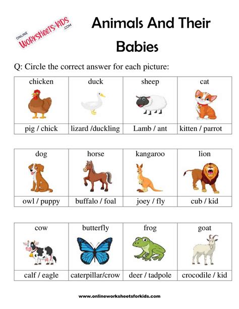 Animals And Their Babies Worksheets The Learning Apps Worksheet On Animals And Their Babies - Worksheet On Animals And Their Babies