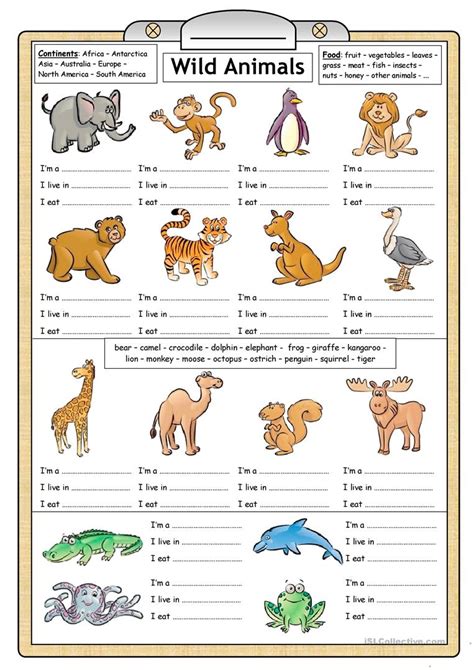 Animals And Their Characteristics Free Worksheet Kindergarten Animal Characteristic Worksheet - Kindergarten Animal Characteristic Worksheet