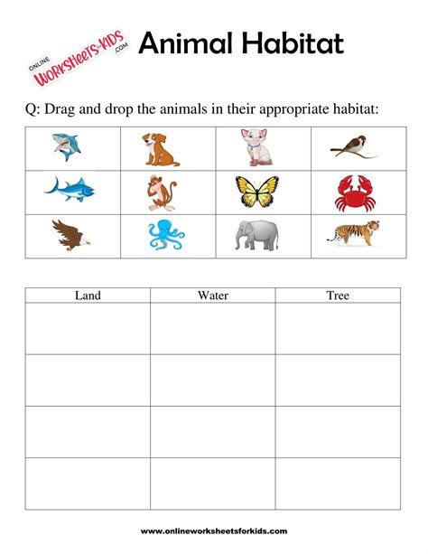 Animals And Their Habitats First Grade Worksheets Learny Habitat Worksheets For First Grade - Habitat Worksheets For First Grade