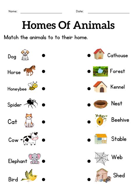 Animals And Their Home Worksheet Dewwool Animals  Their Homes - Animals  Their Homes