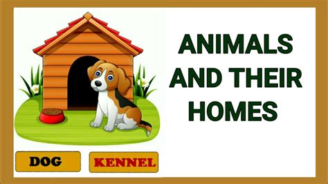 Animals And Their Homes Animal Shelter For Kids Animals With Their Shelters - Animals With Their Shelters