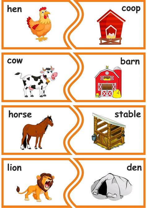 Animals And Their Homes Where Animals Live And Animals And Their House - Animals And Their House