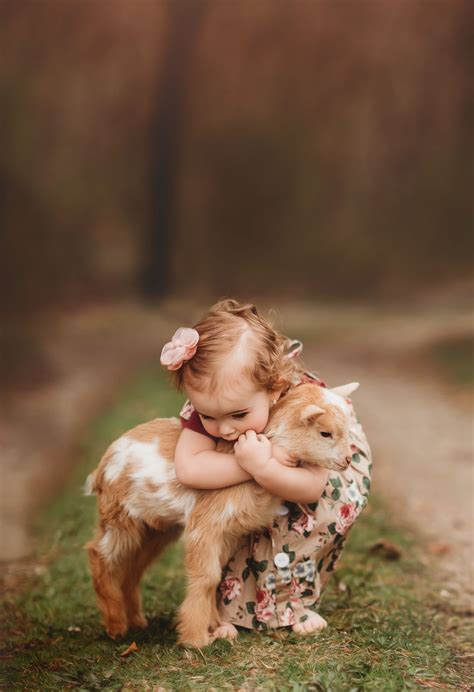 Animals Are Innocent