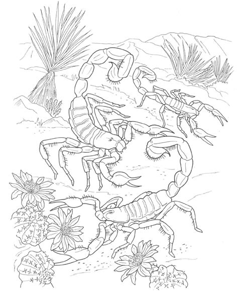 Animals Coloring Pages Super Coloring Desert Animals Coloring Pages - Desert Animals Coloring Pages