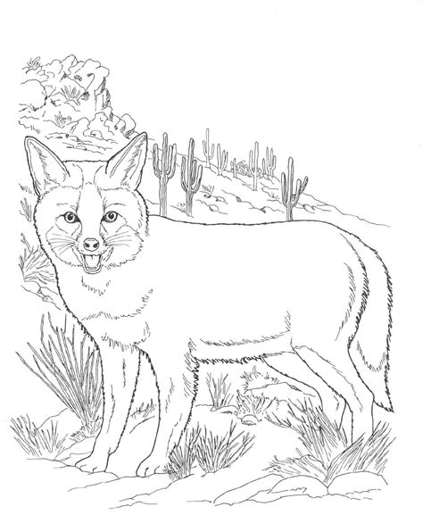 Animals Coloring Pages Super Coloring North American Animals Coloring Pages - North American Animals Coloring Pages