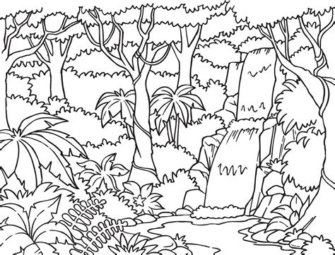 Animals Coloring Pages Super Coloring Rainforest Animal Coloring Page - Rainforest Animal Coloring Page
