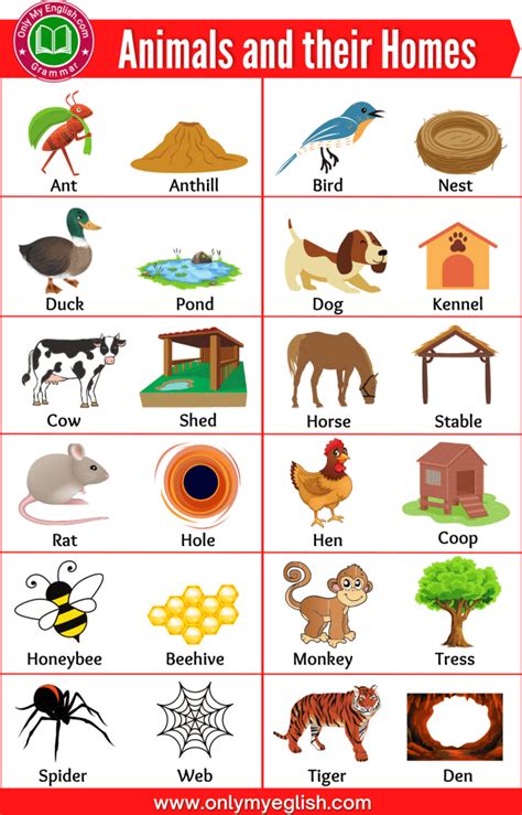 Animals Home Name