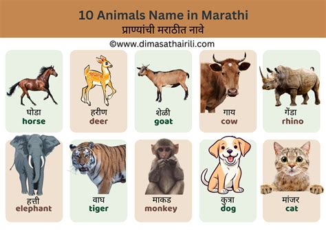 Animals Name In Marathi