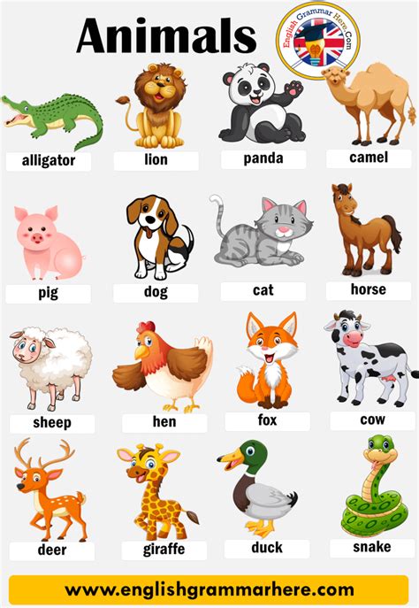Animals Names Learning Kindergarten Archives Kinderspecial Animals Kindergarten - Animals Kindergarten