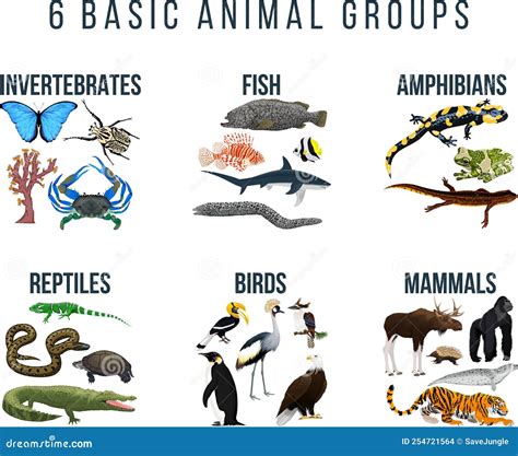 Animals That Are In Groups