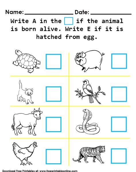 Animals That Hatch From Eggs Worksheet Education Com Animals That Hatch From Eggs Preschool - Animals That Hatch From Eggs Preschool