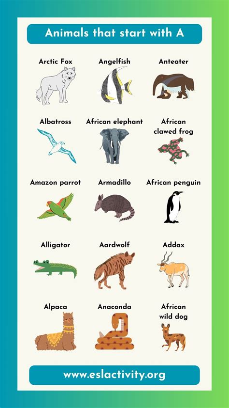 Animals That Start With Ap