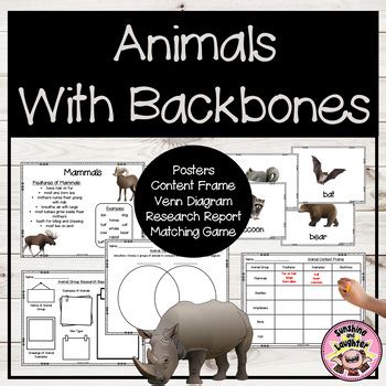 Animals With Backbones Printables