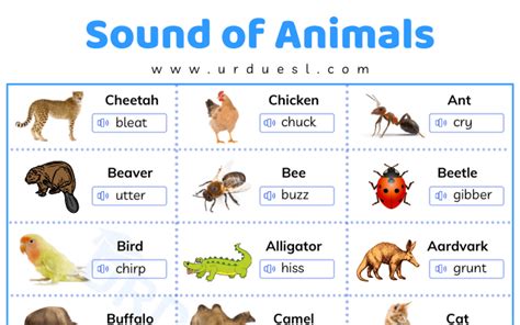 Animals With Sound