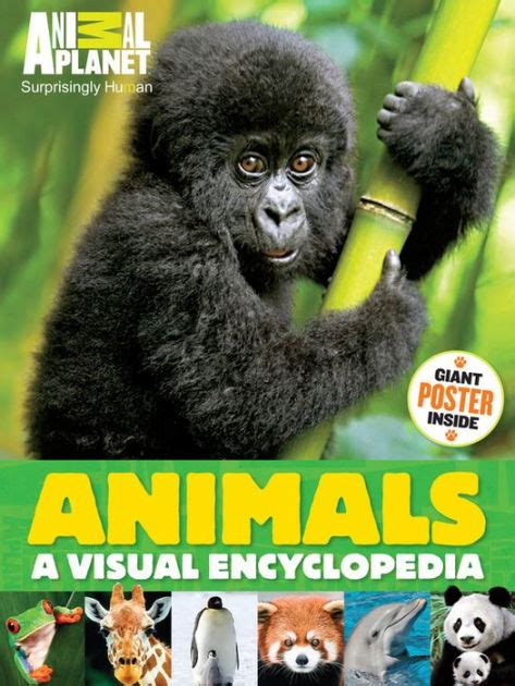 Download Animals A Visual Encyclopedia An Animal Planet Book 