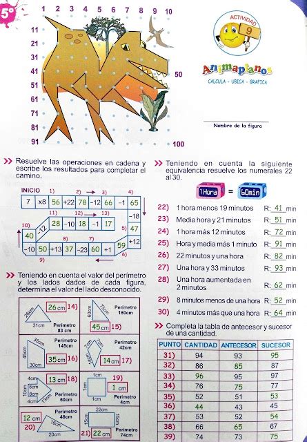 animaplanos 7 actividad 12
