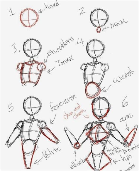Anime Female Figure Drawing Tutorial