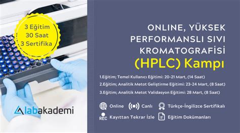 veodersti.rgarabwor.edu.pl. 