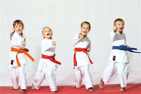 ankara taekwondo kurslarıs