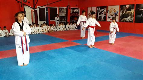 ankara taekwondo salonları 