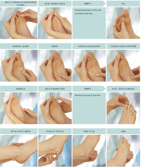 ankle massage techniques