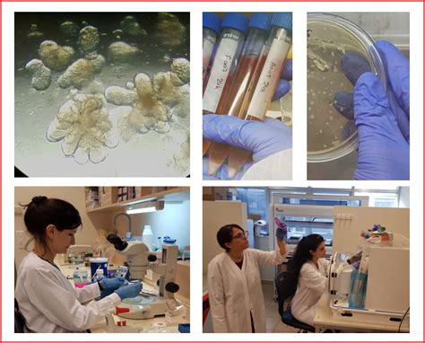 Ann Haberman Lab