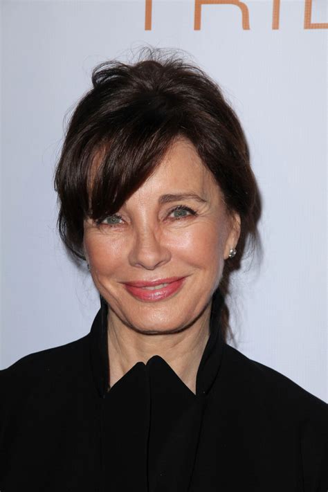 anne archer birthdate