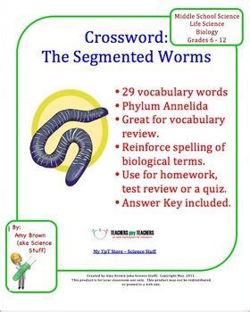 Annelids Segmented Worms Review Worksheet For Zoology Or Annelid Worksheet Answers - Annelid Worksheet Answers
