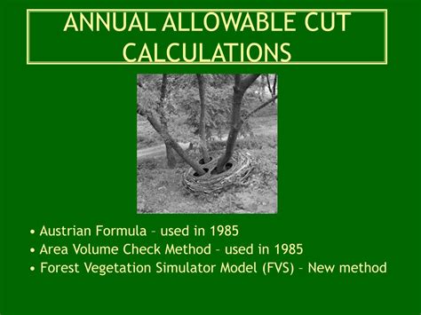 Annual Allowable Cut