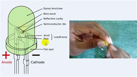 Anode Cathode Lamp ذعغ