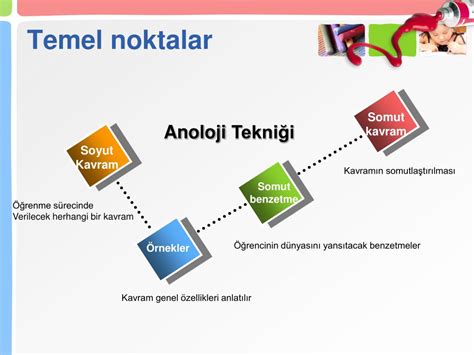 anoloji nedir 