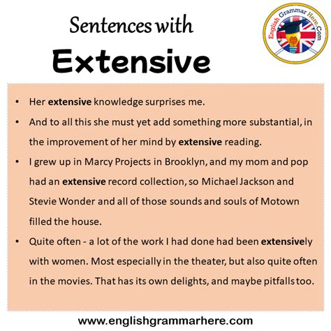 Another Word For Extensive