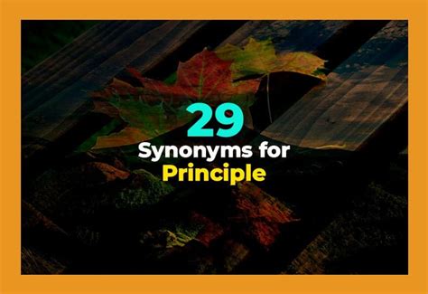 Another Word For Principles