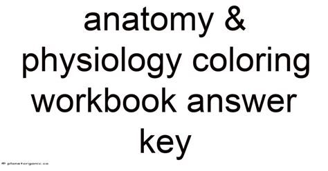 answer key anatomy physiology coloring workbook marieb