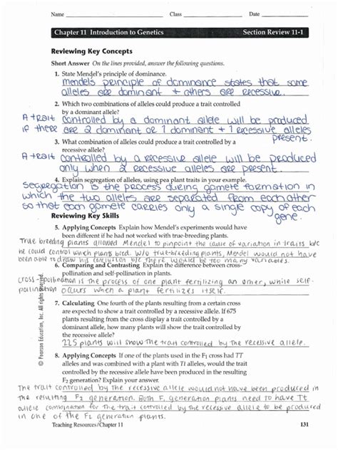 Answer Key Chapter 11 Concept Map