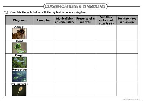 answer key classification into kingdoms
