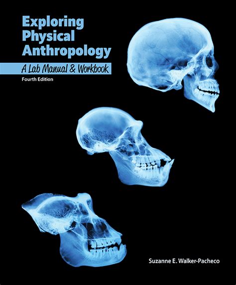 answer key exploring physical anthropology