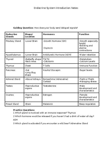 Answer Key For Endocrine System Concept Map