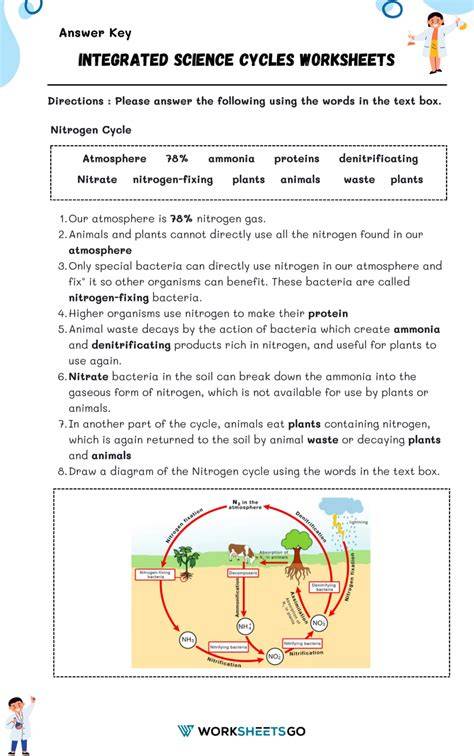 answer key to cycles of matter