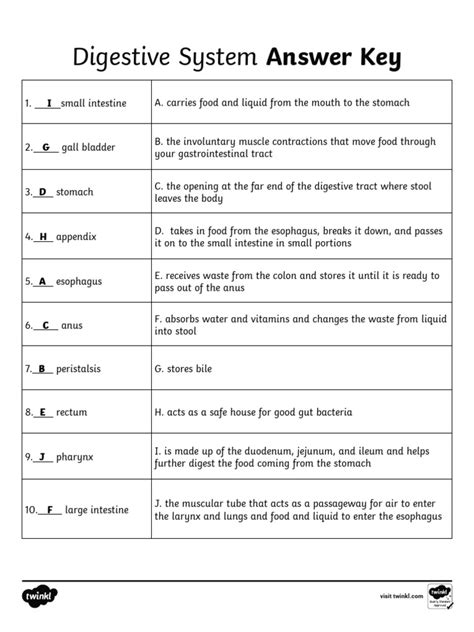 Answer Key To Digestive System Section 48