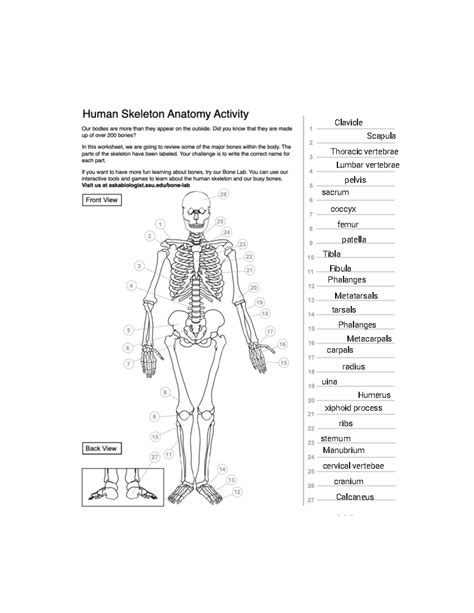 Answer Key To Human Anatomy And Physiology Laboratory Manual