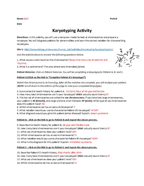 Answer Key To Karyotyping Activity Arizona Biology