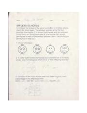 Answer Key To Smileys Genetics