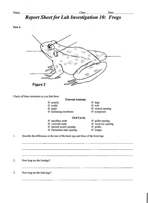 Answer Key To Virtual Frog Dissection