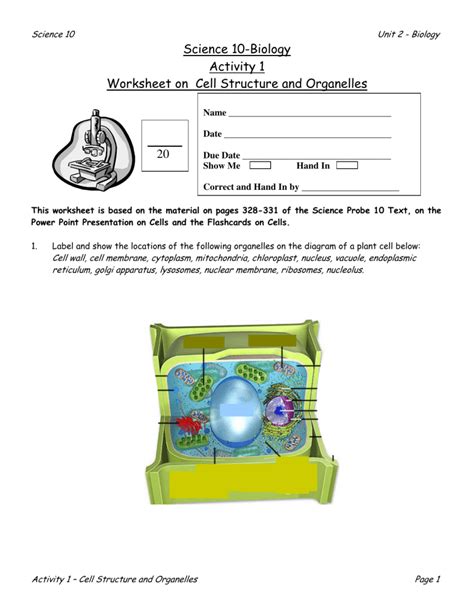 Answer Science 10 Biology Activity 14